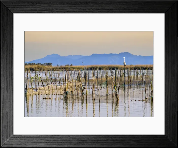 Framed Print : Scenic view of Albufera Natural Park, Valencia, Valencian Community, Spain Framed Print : Scenic view of Albufera Natural Park, Valencia, Valencian Community, Spain