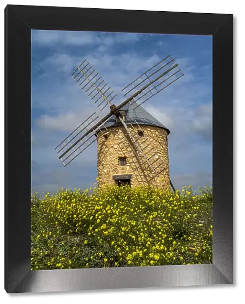 Windmill in a scenic spring landscape, Belmonte, Castilla-La Mancha, Spain