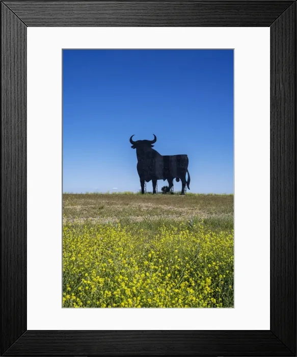 Framed Print : Scenic springtime landscape with a silhouetted image of an Osborne bull billboard in rural Castilla-La Mancha, Spain Framed Print : Scenic springtime landscape with a silhouetted image of an Osborne bull billboard in rural Castilla-La Mancha, Spain