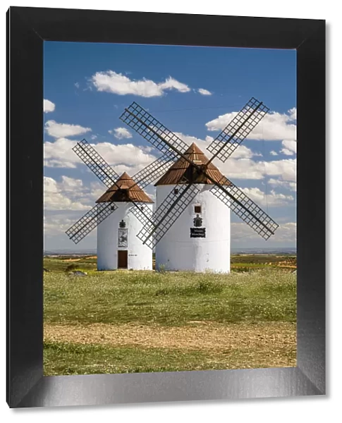 Typical windmills, Mota del Cuervo, Castilla-La Mancha, Spain