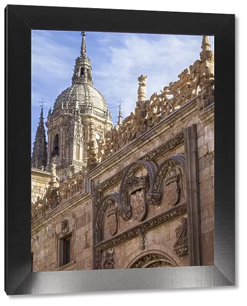 Spain, Castile and Leon, Salamanca, University, architectural details of a facade in the Patio de Escuelas