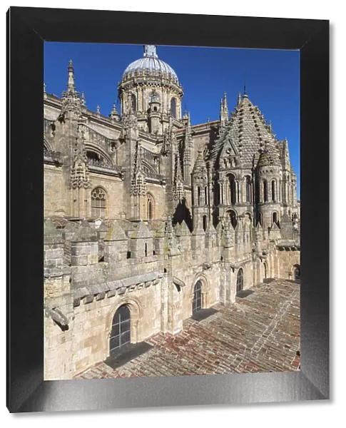 Spain, Castile and Leon, Salamanca, Cathedral, The roof of the Old Cathedral