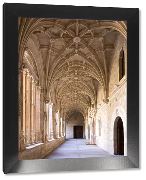 Spain, Castile and Leon, Salamanca, San Esteban convent, Archway in the cloister