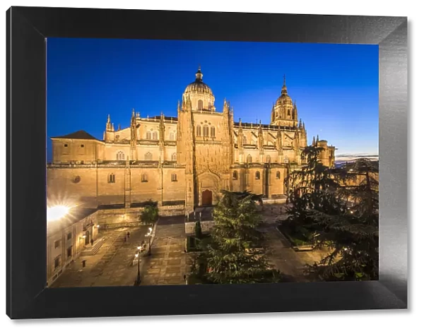 Spain, Castile and Leon, Salamanca, Cathedral, The Plaza de Anaya at night