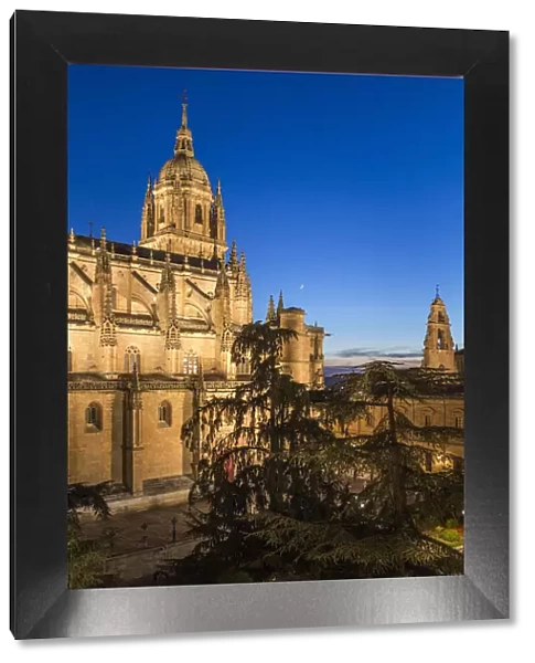 Spain, Castile and Leon, Salamanca, Cathedral, The Plaza de Anaya at night