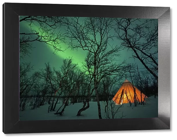 Swedish Lapland, Abisko National Park. Northern Lights over a typical teepee in the forest and snow, winter. Arctic Circle