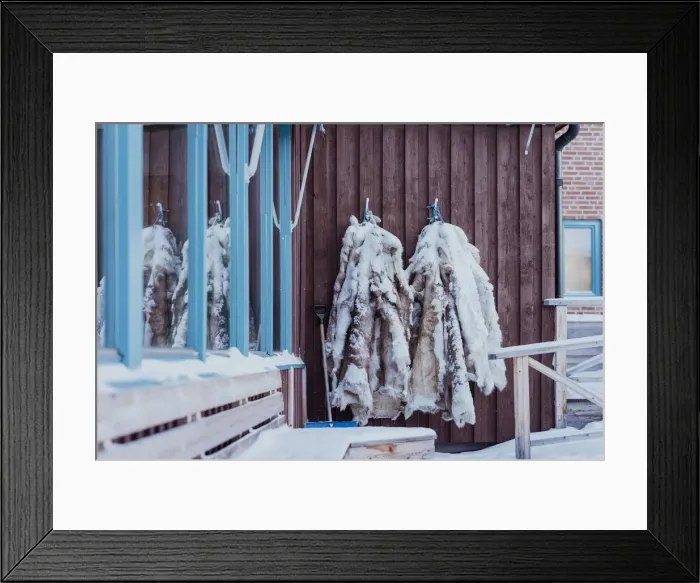 Framed Print : reindeer hide leather on a hut in Arctic Circle, Abisko, Swedish Lapland, Sweden Framed Print : reindeer hide leather on a hut in Arctic Circle, Abisko, Swedish Lapland, Sweden