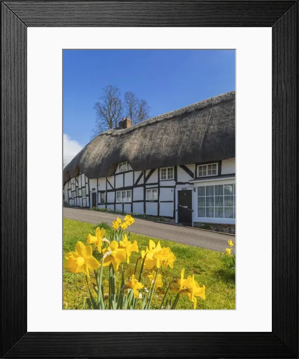 Framed Print : England, Hampshire, Test Valley, Wherwell, Thatched Cottages in the Spring Framed Print : England, Hampshire, Test Valley, Wherwell, Thatched Cottages in the Spring