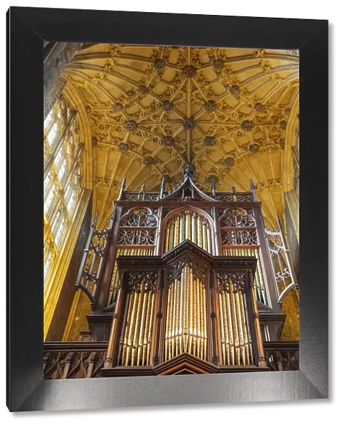 England, Dorset, Sherborne, Sherborne Abbey, The Organ
