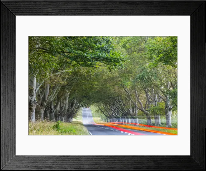 Framed Print : England, Dorset, Roman Road near Blandford Forum Framed Print : England, Dorset, Roman Road near Blandford Forum
