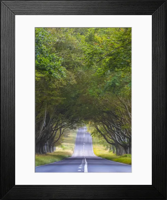 Framed Print : England, Dorset, Roman Road near Blandford Forum