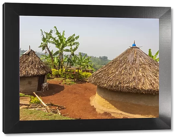 Africa, Uganda, Sipi Falls. A traditional rural homestead