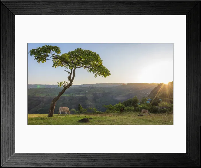 Framed Print : Africa, Uganda, Sipi Falls. Sunrise in the rural landscape
