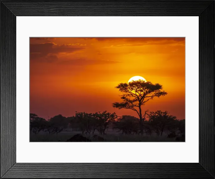 Framed Print : Africa, Uganda, Pian Upe Nature Reserve. Sunset in the Savanna