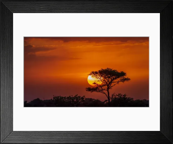 Framed Print : Africa, Uganda, Pian Upe Nature Reserve. Sunset in the Savanna Framed Print : Africa, Uganda, Pian Upe Nature Reserve. Sunset in the Savanna