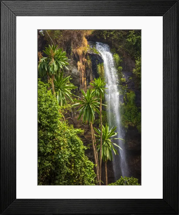 Framed Print : Africa, Uganda, Sipi Falls. the second falls seen from the Sipi Rivier lodge Framed Print : Africa, Uganda, Sipi Falls. the second falls seen from the Sipi Rivier lodge