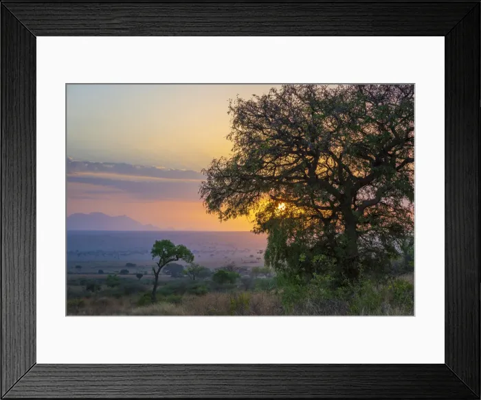 Framed Print : Africa, Uganda, Karamoja. Kidepo Valley National Park. Sunrise Framed Print : Africa, Uganda, Karamoja. Kidepo Valley National Park. Sunrise