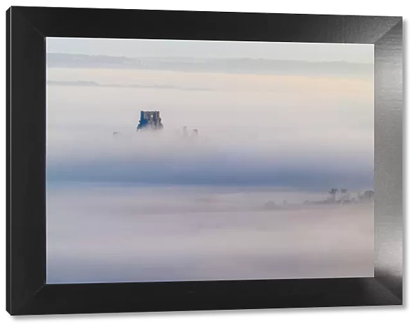 UK, England, Dorset, Corfe Castle rising out of the mist