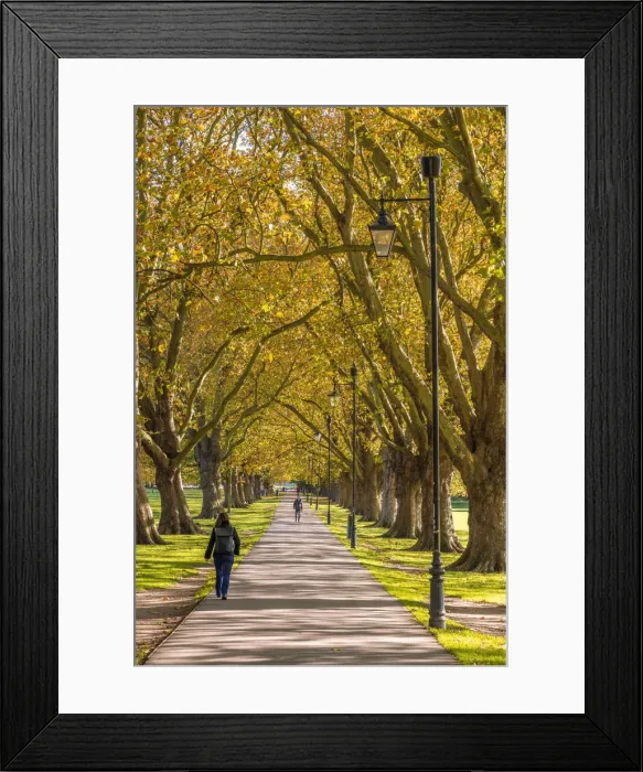 Framed Print : UK, England, Cambridgeshire, Cambridge, Jesus Green Framed Print : UK, England, Cambridgeshire, Cambridge, Jesus Green