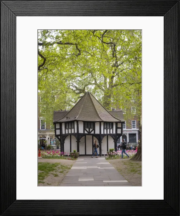 Framed Print : Soho Square Gardens, Soho, London, England, UK