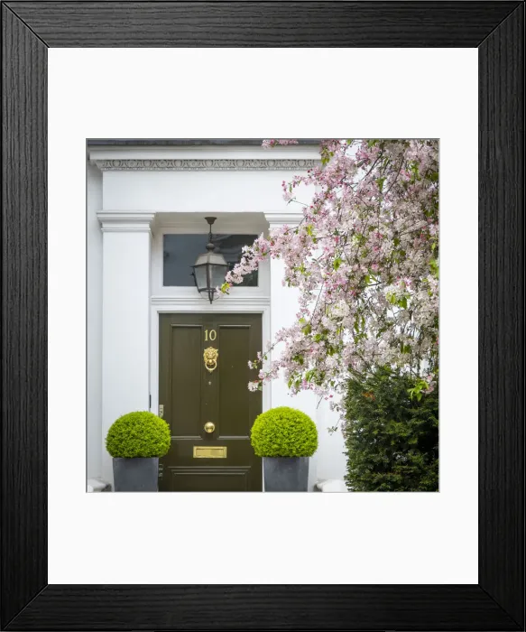Framed Print : Spring blosson and door, Kensington, London, England, UK Framed Print : Spring blosson and door, Kensington, London, England, UK