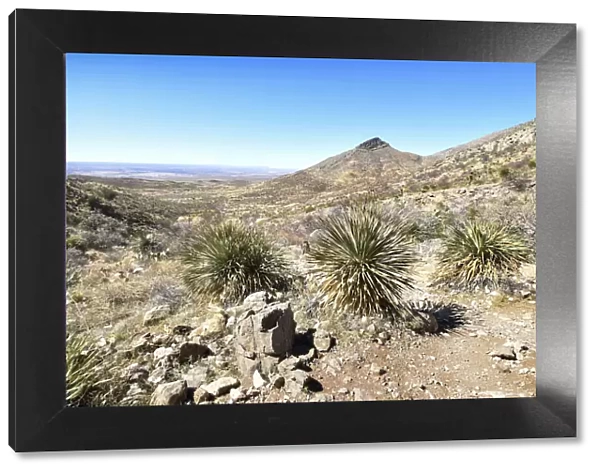 USA, Texas, El Paso, Franklin Mountains State Park, Aztec Caves Trail, Chihuahuan Desert, Rio Grande Valley