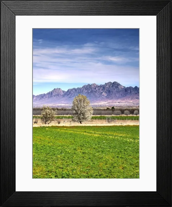 Framed Print : USA, New Mexico, La Mesa, Mesilla Valley, Farm, Organ Mountains, Cottonwood Trees, Rio Grande Valley Framed Print : USA, New Mexico, La Mesa, Mesilla Valley, Farm, Organ Mountains, Cottonwood Trees, Rio Grande Valley