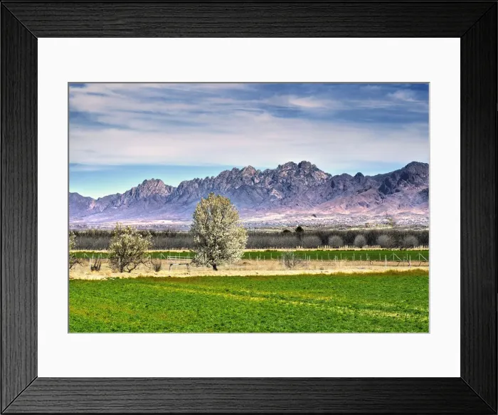 Framed Print : USA, New Mexico, La Mesa, Mesilla Valley, Farm, Organ Mountains, Cottonwood Trees, Rio Grande Valley Framed Print : USA, New Mexico, La Mesa, Mesilla Valley, Farm, Organ Mountains, Cottonwood Trees, Rio Grande Valley