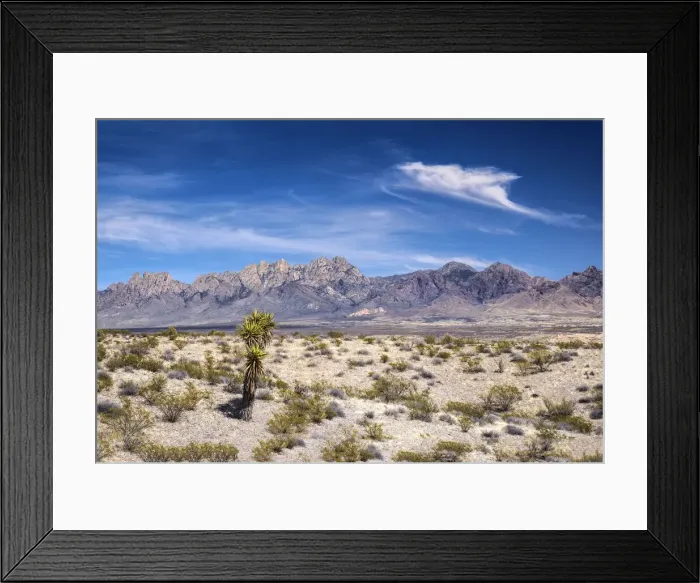 Framed Print : USA, New Mexico, Las Cruces, Organ Mountains, Chihuahuan Desert Framed Print : USA, New Mexico, Las Cruces, Organ Mountains, Chihuahuan Desert