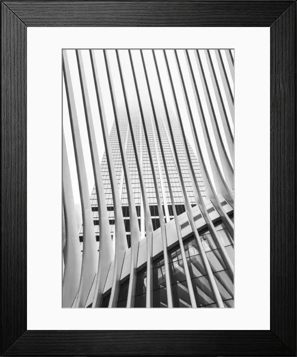 Framed Print : World Trade Center station (PATH) AKA The Oculus, Manhattan, New York City, USA Framed Print : World Trade Center station (PATH) AKA The Oculus, Manhattan, New York City, USA