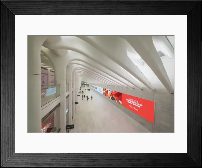 Framed Print : World Trade Center station (PATH) AKA The Oculus, Manhattan, New York City, USA Framed Print : World Trade Center station (PATH) AKA The Oculus, Manhattan, New York City, USA