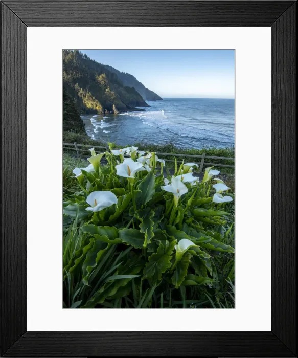 Framed Print : USA, Oregon Coast, Oregon, Lane County. Yachats, Heceta Head Light Framed Print : USA, Oregon Coast, Oregon, Lane County. Yachats, Heceta Head Light