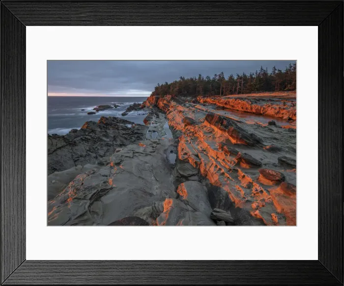 Framed Print : USA, Oregon Coast, Oregon, Coos County, Shore Acres State Park Framed Print : USA, Oregon Coast, Oregon, Coos County, Shore Acres State Park