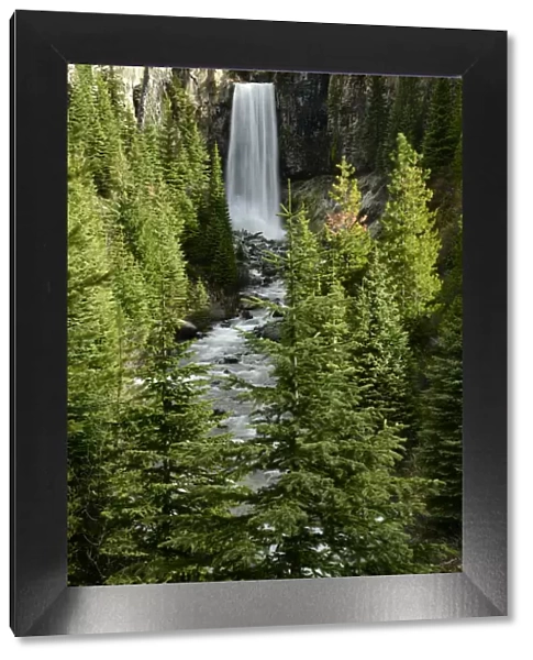 USA, Oregon, Deschutes National Forest, Bend, Tuamlo Falls