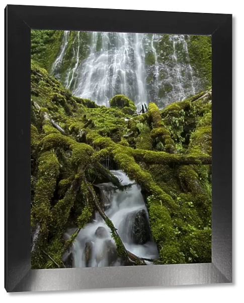 USA, Oregon, Columbia River Gorge, Starvation Creek State Park, Waterfall