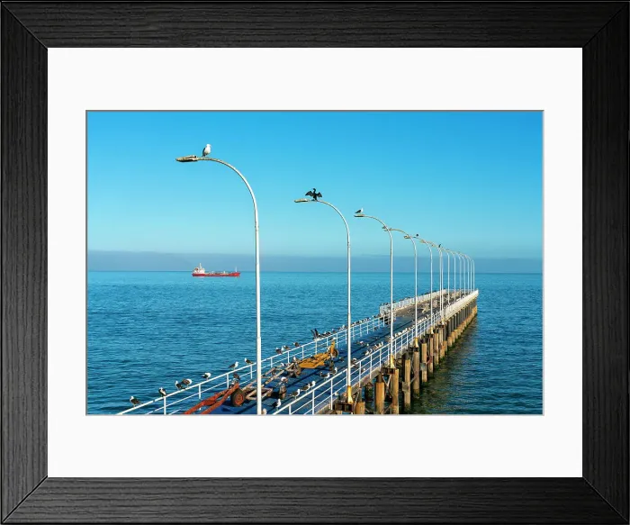 Framed Print : Birds perching on pier against blue sky at Caleta Portales, Valparaiso, Valparaiso Province, Valparaiso Region, Chile Framed Print : Birds perching on pier against blue sky at Caleta Portales, Valparaiso, Valparaiso Province, Valparaiso Region, Chile