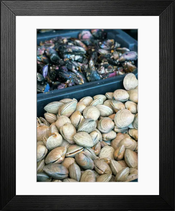 Framed Print : High angle view of fresh clams in crate for sale at market, Caleta Portales, Valparaiso, Valparaiso Province, Valparaiso Region, Chile Framed Print : High angle view of fresh clams in crate for sale at market, Caleta Portales, Valparaiso, Valparaiso Province, Valparaiso Region, Chile