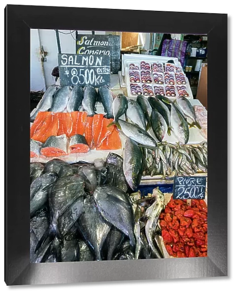 Various fresh fish for sale at seafood market, Caleta Portales, Valparaiso, Valparaiso Province, Valparaiso Region, Chile