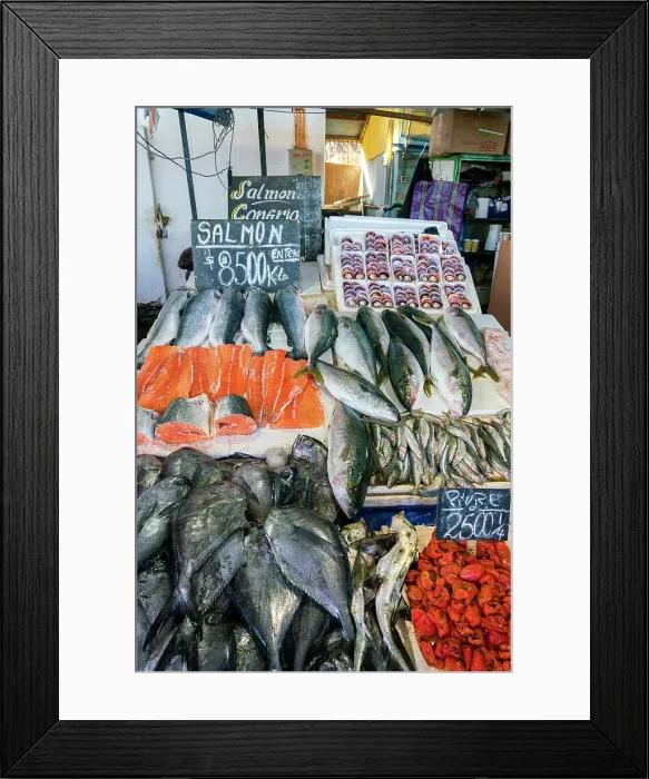 Framed Print : Various fresh fish for sale at seafood market, Caleta Portales, Valparaiso, Valparaiso Province, Valparaiso Region, Chile Framed Print : Various fresh fish for sale at seafood market, Caleta Portales, Valparaiso, Valparaiso Province, Valparaiso Region, Chile