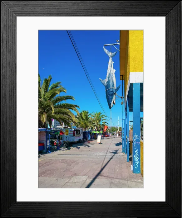 Framed Print : Artificial shark hanging from restaurant on sunny day, Caleta Portales, Valparaiso, Valparaiso Province, Valparaiso Region, Chile Framed Print : Artificial shark hanging from restaurant on sunny day, Caleta Portales, Valparaiso, Valparaiso Province, Valparaiso Region, Chile