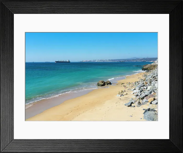 Framed Print : Los Placeres beach on sunny day, Valparaiso, Valparaiso Province, Valparaiso Region, Chile