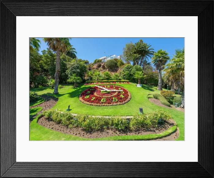 Framed Print : Reloj de flores amidst plants on sunny day, Vina del Mar, Valparaiso Province, Valparaiso Region, Chile Framed Print : Reloj de flores amidst plants on sunny day, Vina del Mar, Valparaiso Province, Valparaiso Region, Chile