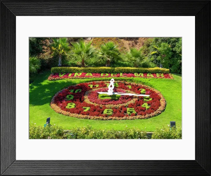 Framed Print : Reloj de flores amidst plants on sunny day, Vina del Mar, Valparaiso Province, Valparaiso Region, Chile Framed Print : Reloj de flores amidst plants on sunny day, Vina del Mar, Valparaiso Province, Valparaiso Region, Chile