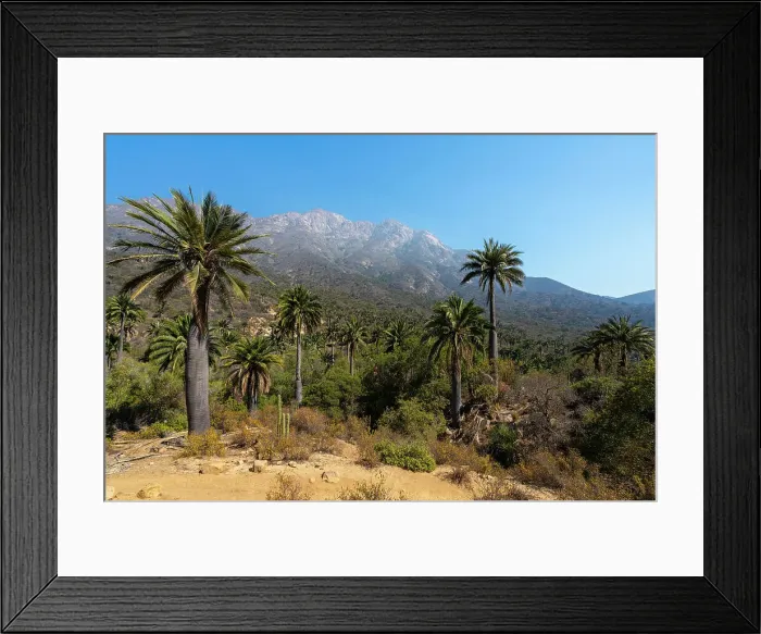 Framed Print : March 2022 Framed Print : March 2022
