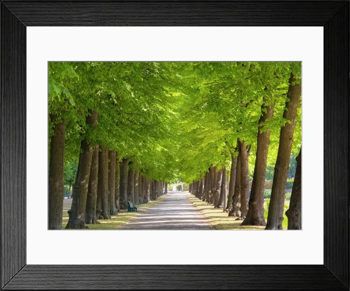 Framed Print : Schloss Herrenhausen, Hannover, Lower Saxony, Germany Framed Print : Schloss Herrenhausen, Hannover, Lower Saxony, Germany