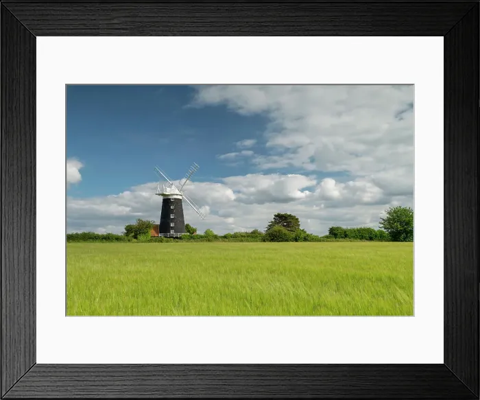 Framed Print : Burnham Overy Mill in Field of Wheat, Norfolk, England Framed Print : Burnham Overy Mill in Field of Wheat, Norfolk, England