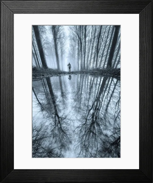 Framed Print : Walker in beech woodland in winter, Cranborne Chase, Dorset, England, UK Framed Print : Walker in beech woodland in winter, Cranborne Chase, Dorset, England, UK