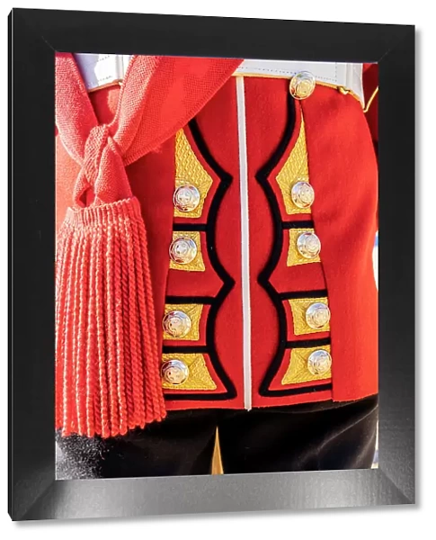 Deatil of The Queens guards uniform during Beating the Retreat. Westminster, London, England, Uk