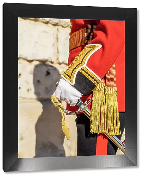 Deatil of The Queens guards uniform during Beating the Retreat. Westminster, London, England, Uk
