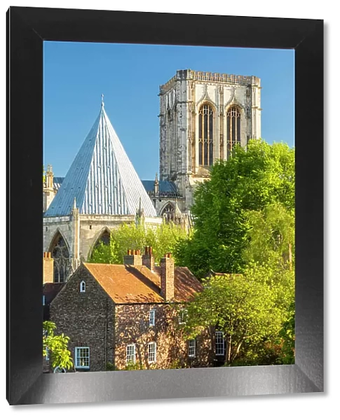 United Kingdom, England, North Yorkshire, York. The North Transept and Chapter House of York Minster on a Spring evening